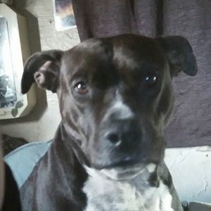 Meet your Posher, Terri